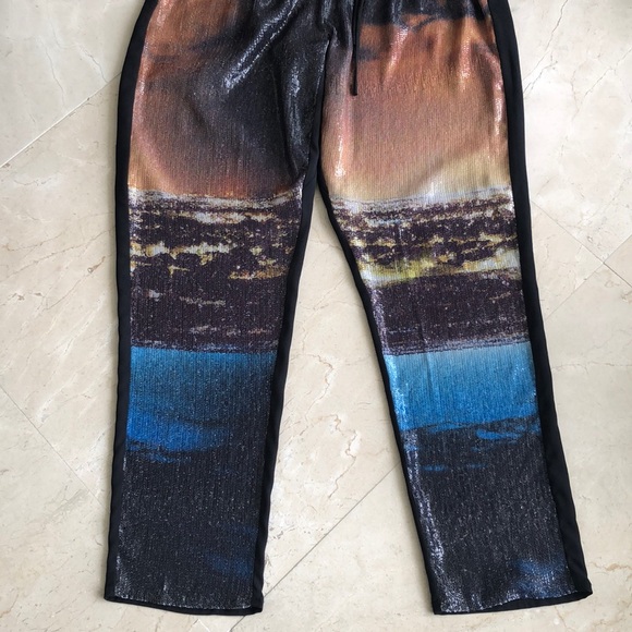 CLOVER CANYON ELEGANT SEQUINED PANTS - Picture 6 of 11